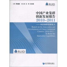 中国产业集群创新发展报告（2010-2011）：构筑集群创新能力