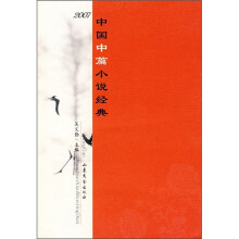 2007中国中篇小说经典