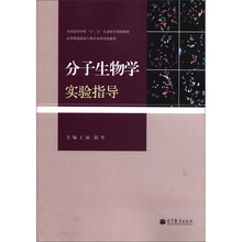 全国高等学校“十二五”生命科学规划教材·高等师范院校生物学系列实验教材：分子生物学实验指导