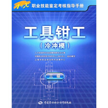 工具钳(工冷冲模)(3级)