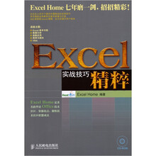Excel 实战技巧精粹(附光盘)
