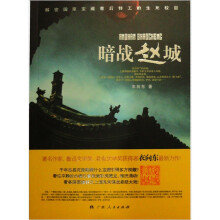 暗战赵城