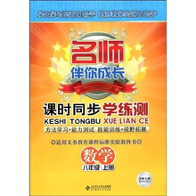 名师伴你成长·课时同步学练测：数学（8年级上册）（北师大版）