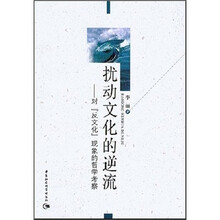 扰动文化的逆流：对反文化现象的哲学考察