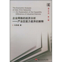 企业网络的经济分析：产业区能力差异的解释