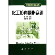 化工仿真操作实训