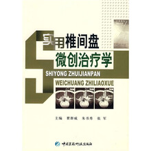 实用椎间盘微创治疗学