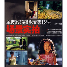 单反数码摄影专家技法：场景实拍