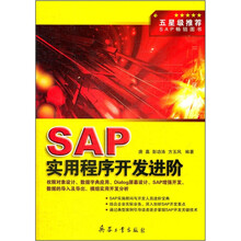 SAP实用程序开发进阶