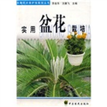 实用盆花栽培：水果花卉保护地栽培丛书