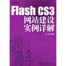 Flash CS3网站建设实例详解（附光盘1张）