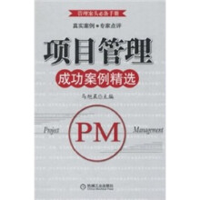 项目管理成功案例精选