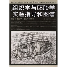 组织学与胚胎学实验指导和图谱