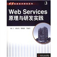 Web Services原理与研发实践