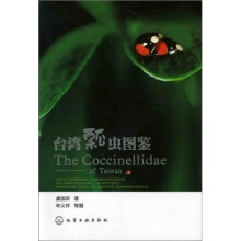 台湾瓢虫图鉴