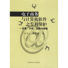 电子商务与计算机软件之专利保护：发展分析创新与策略
