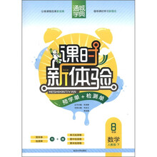 通城学典·课时新体验：数学（8年级下）（人教版）