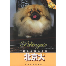 精致优雅的皇族:北京犬