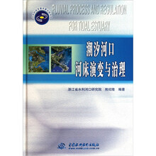潮汐河口河床演变与治理