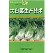 大白菜生产技术