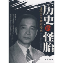 历史的怪胎：汪伪国民政府始末