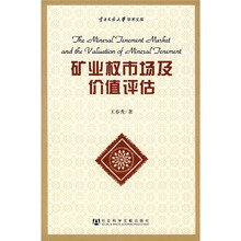 矿业权市场及价值评估