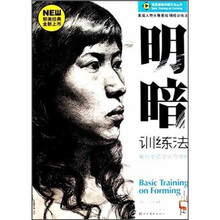 造型基础训练方法丛书:明暗训练法