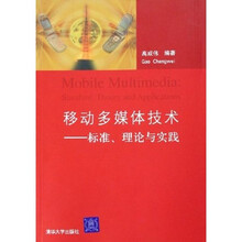 移动多媒体技术：标准理论与实践