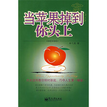 当苹果掉到你头上