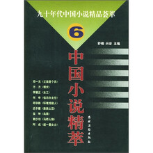 中国小说精萃6