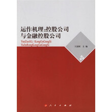 运作机理:控股公司与金融控股公司