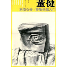 董健素描石膏:静物快速入门