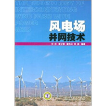 风电场并网技术
