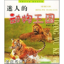迷人的动物王国：老虎与狮子