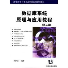 高等院校计算机应用技术系列教材:数据库系统原理与应用教程(第2版)