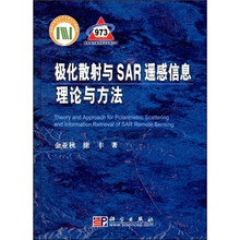 极化散射与SAR遥感信息理论与方法
