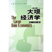 高等学校经济学教材：大坝经济学（修订版）
