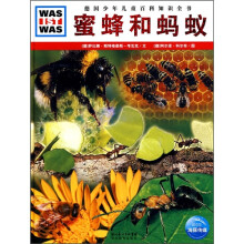 蜜蜂和蚂蚁