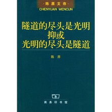 隧道的尽头是光明抑或光明的尽头是隧道