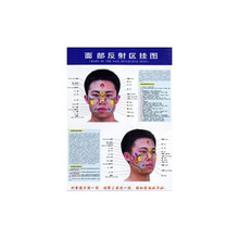 面部反射区挂图