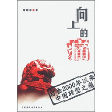 向上的痛：目击2000年以来中国转型之痛