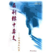 在荆棘中奔走:公安局长纪事