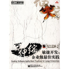 软件工程研究院·可伸缩敏捷开发：企业级最佳实践