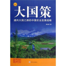 通向大国之路的中国农业发展战略