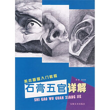 美术基础入门教程：石膏五官详解