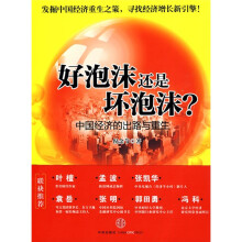 好泡沫还是坏泡沫(中国经济的出路与重生)