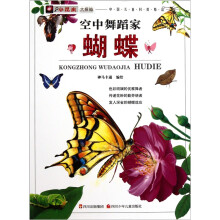 空中舞蹈家:蝴蝶