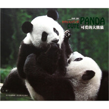 可爱的大熊猫