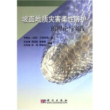 坡面地质灾害柔性防护的理论与实践