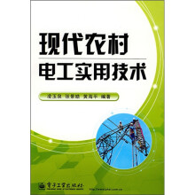 现代农村电工实用技术